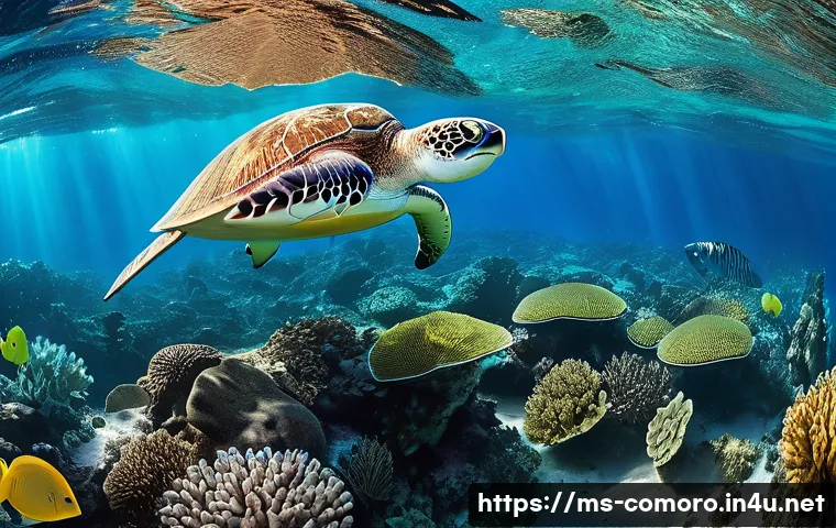 코모로 국제 환경 협약 참여 - **Vibrant Marine Sanctuary of Comoros**
    "An extremely detailed, photorealistic image capturing a...