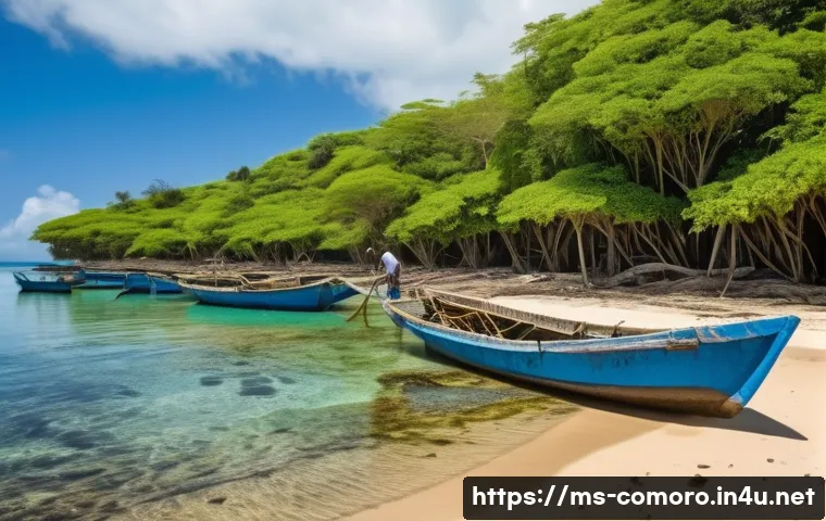 Terokai Impak Global Penglibatan Comoros dalam Iklim dan Biodiversiti 4 코모로 국제 환경 협약 참여 관련 이미지 2